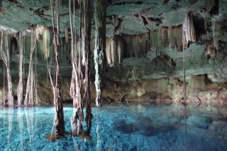  Wunderbare Cenote zum Tauchen 